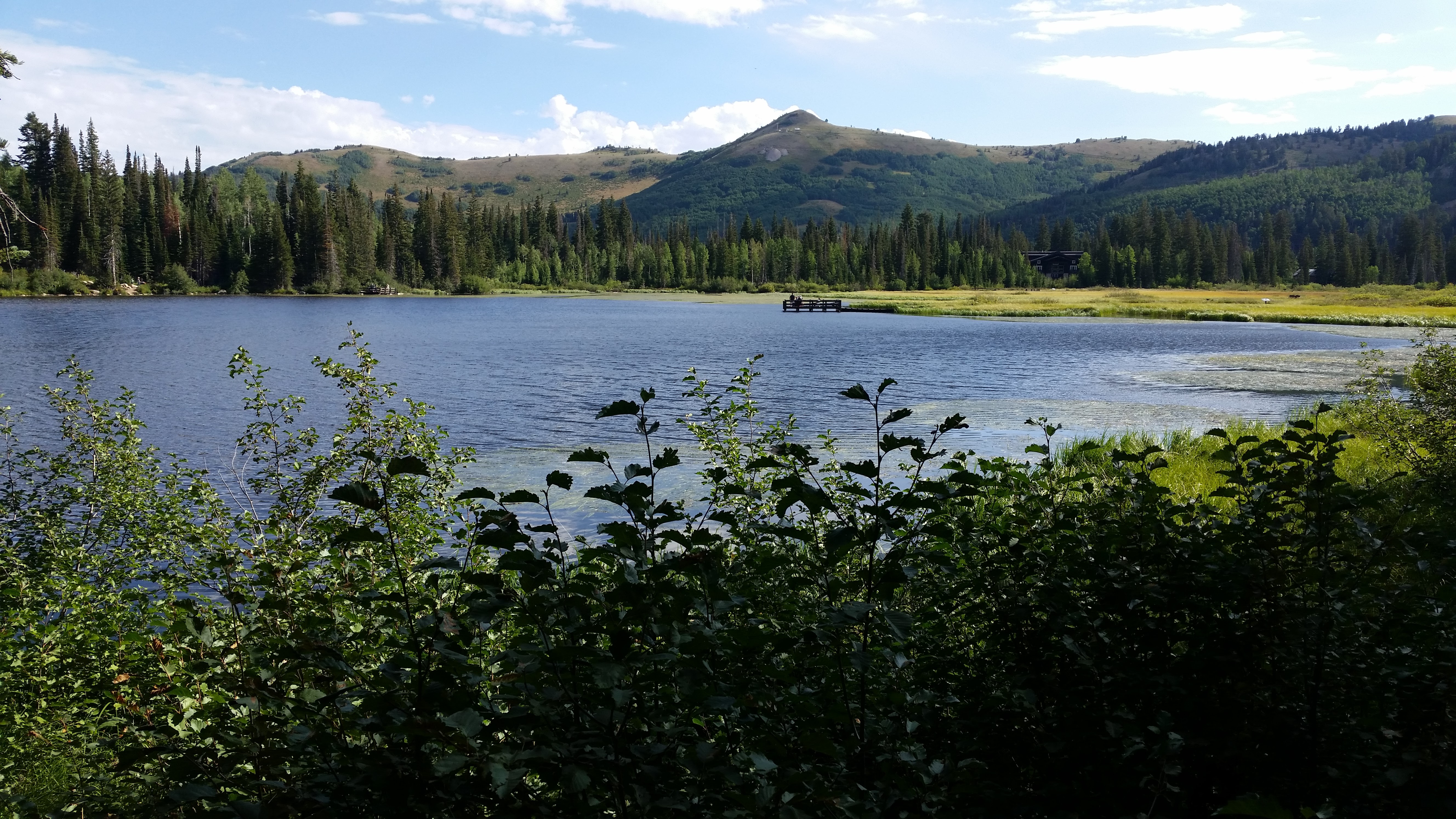 Snowbird – Utah · 2016